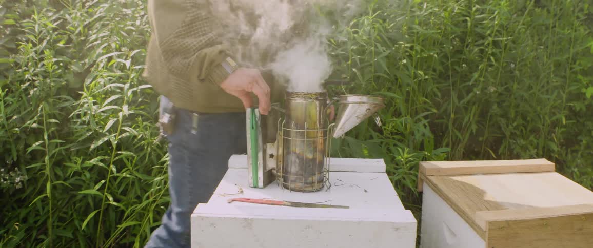 A beekeeper in a protective suit uses a bee smoker to create smoke before tending to a beehive in a lush green field
