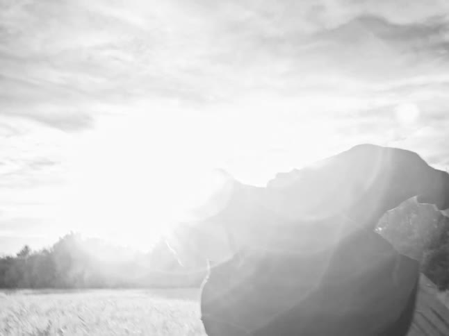 A mysterious young man in a hoodie crouches in a sun-lit field, captured in a dramatic black and white slow-motion close-up