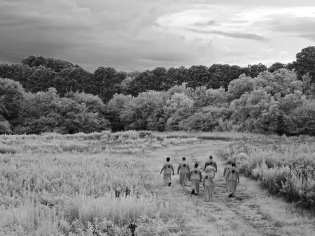 A group of robed figures walks down a path through a surreal, glowing white field toward a dark forest in a dramatic black and white infrared landscape