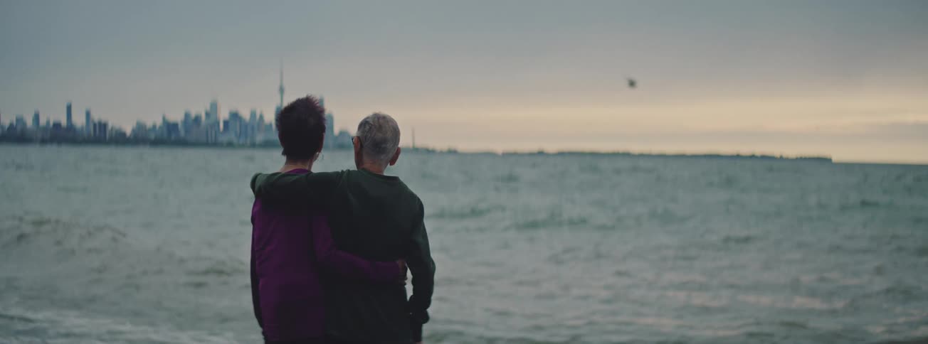 A senior couple embraces on the shore, watching the gentle waves with a distant city skyline on the horizon
