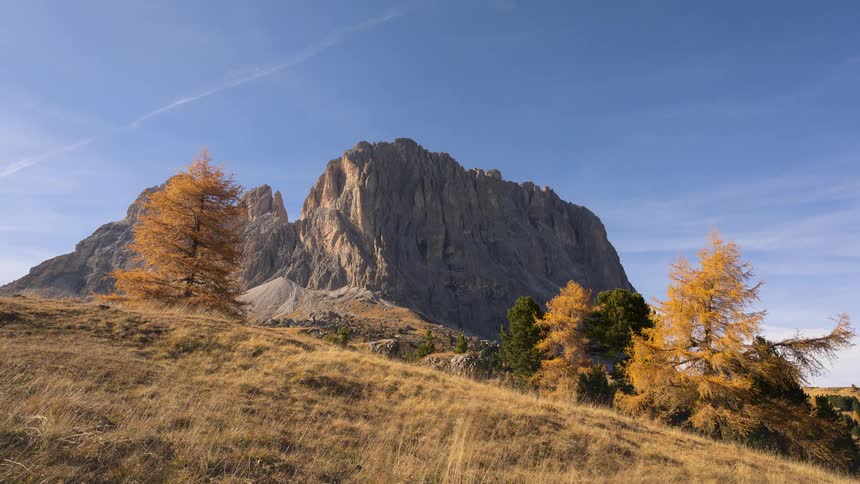 Timelapse of a majestic mountain in the Dolomites during autumn, with golden larch trees on a grassy hill and clouds moving across a clear blue sky