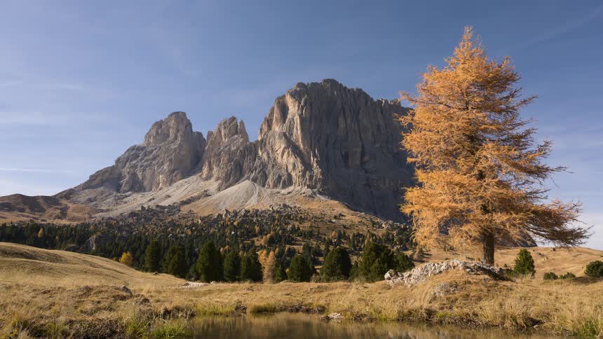 Time-lapse of the majestic Sassolungo mountain range in the Dolomites during autumn, with a golden larch tree and a tranquil pond in the foreground
