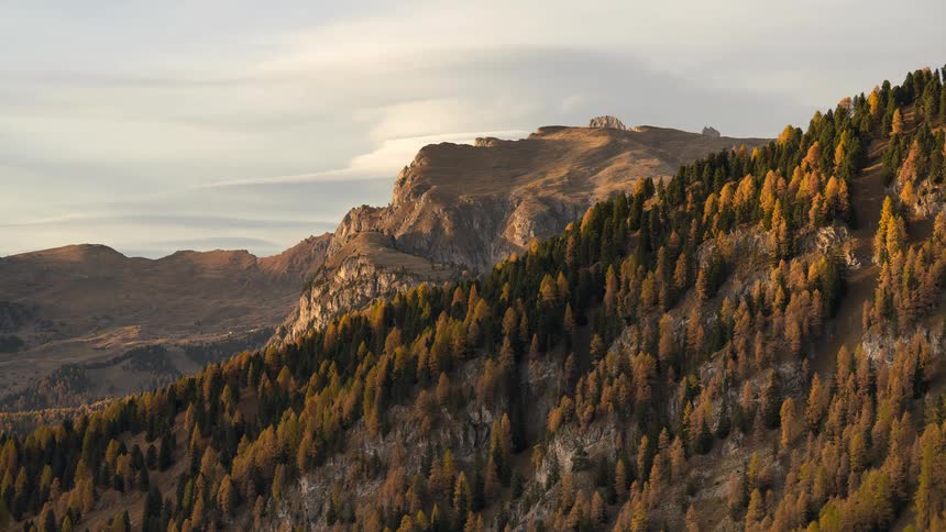 Timelapsed clouds drift over a beautiful mountain range covered in golden larches and green pines during a serene autumn sunset