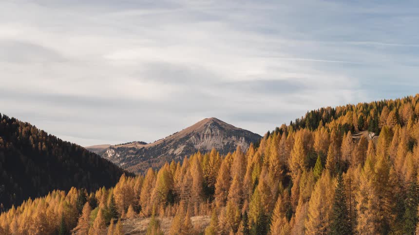 A stunning mountain peak rises above a vibrant golden larch forest during autumn as clouds drift across the sky