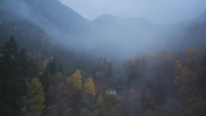 Slow pull-back shot reveals a moody, foggy mountain valley with a colorful autumn forest on a rainy day