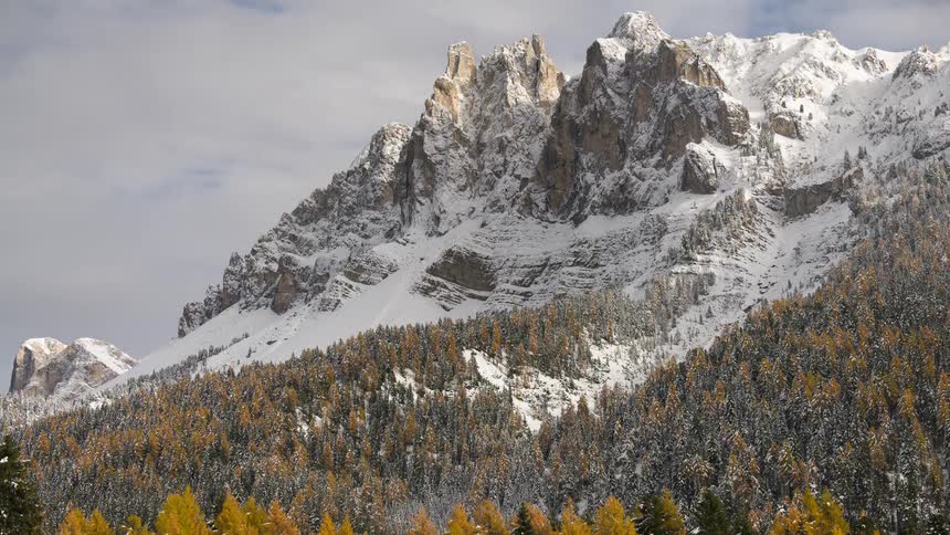 A beautiful, static shot captures the transition from autumn to winter, with snow-covered mountain peaks contrasting against a vibrant forest of golden and green trees