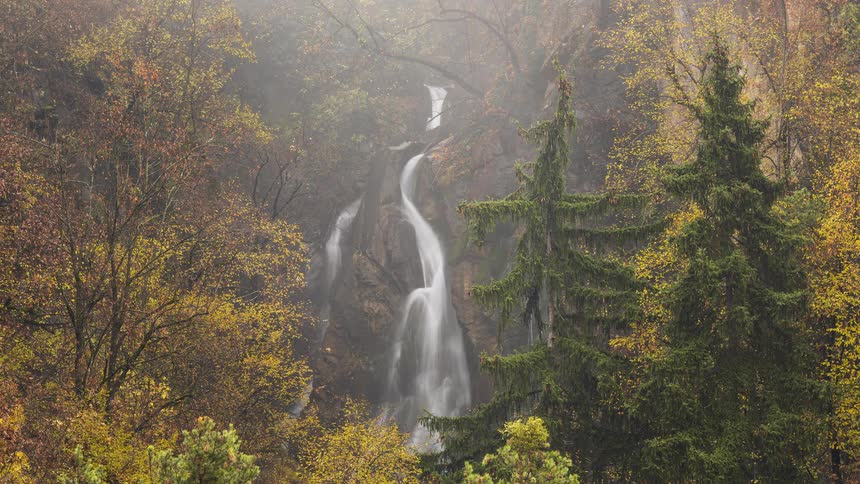 A stunning timelapse of a waterfall flowing through a misty, colorful autumn forest with evergreen trees in the foreground