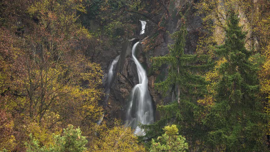 A serene waterfall cascades down a cliffside amidst a forest of autumn trees and evergreens in a long exposure timelapse