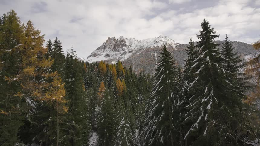 A timelapse shows clouds moving over a snow-covered mountain peak, with a dense forest of snow-dusted pines and golden autumn larches in the foreground
