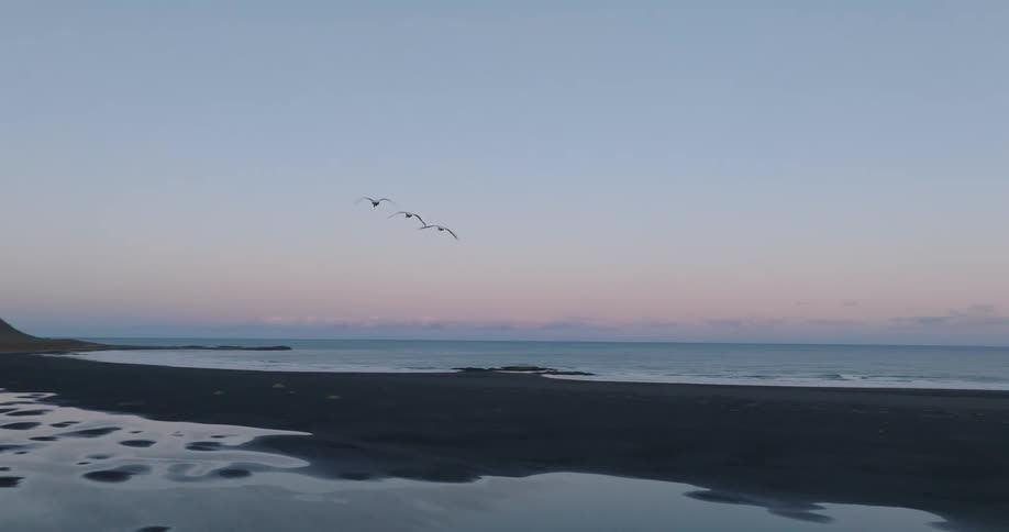 A trio of birds glides in slow motion above the reflective waters of a black sand beach next to a majestic mountain in Iceland