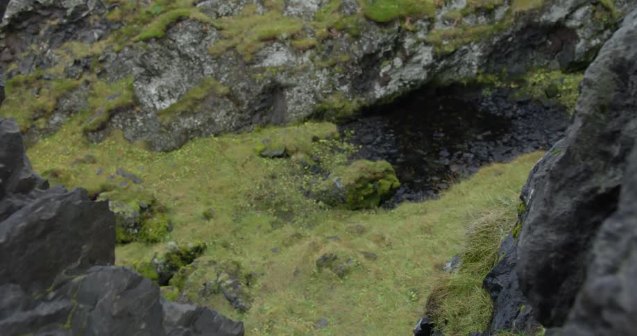 A high-angle view looking down into a lush green, mossy ravine framed by dark volcanic rocks