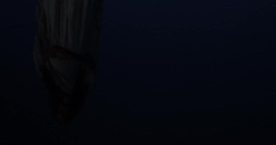 A mysterious upside-down reflection of a person in a white garment shimmers on the surface of dark, still water at night