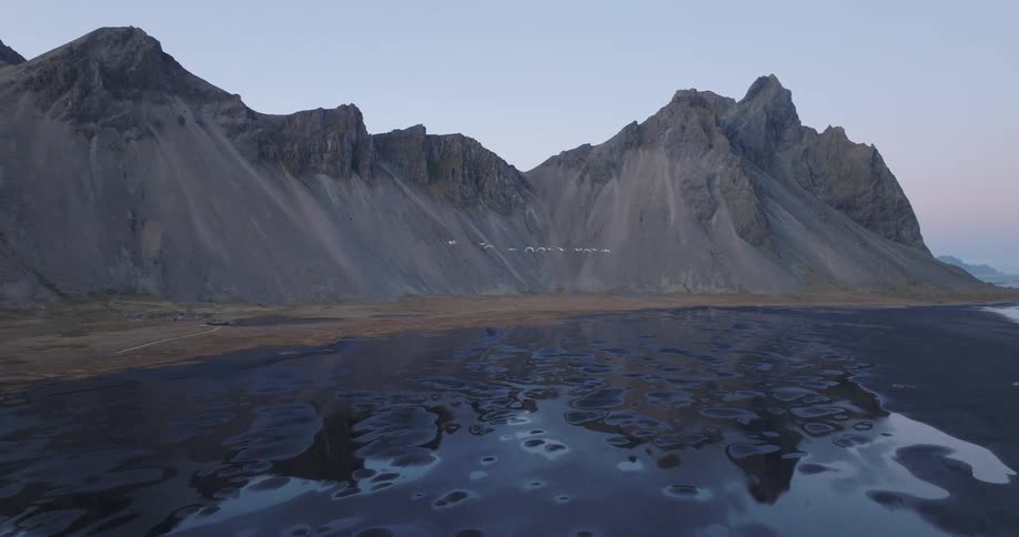 A flock of white birds flies in slow motion over the reflective black sand beach of Stokksnes with the majestic Vestrahorn mountain in the background