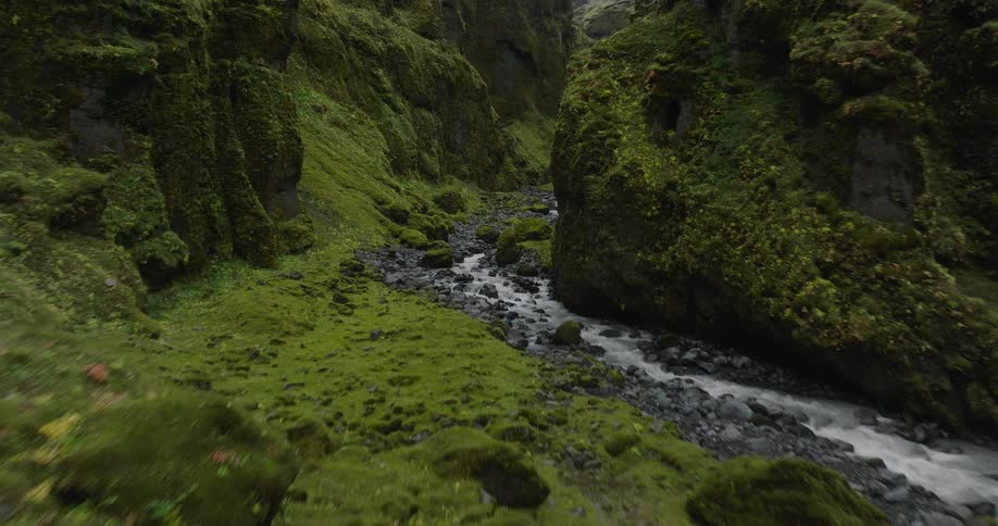 A slow and steady flight through a breathtaking moss-covered canyon reveals a beautiful hidden waterfall in the distance