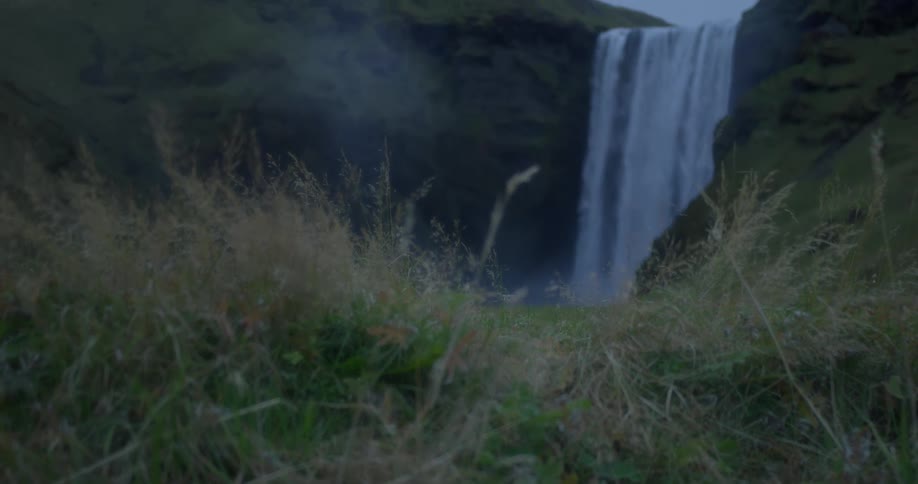 A slow focus pull from a blade of grass reveals the epic Skógafoss waterfall cascading down green cliffs in Iceland
