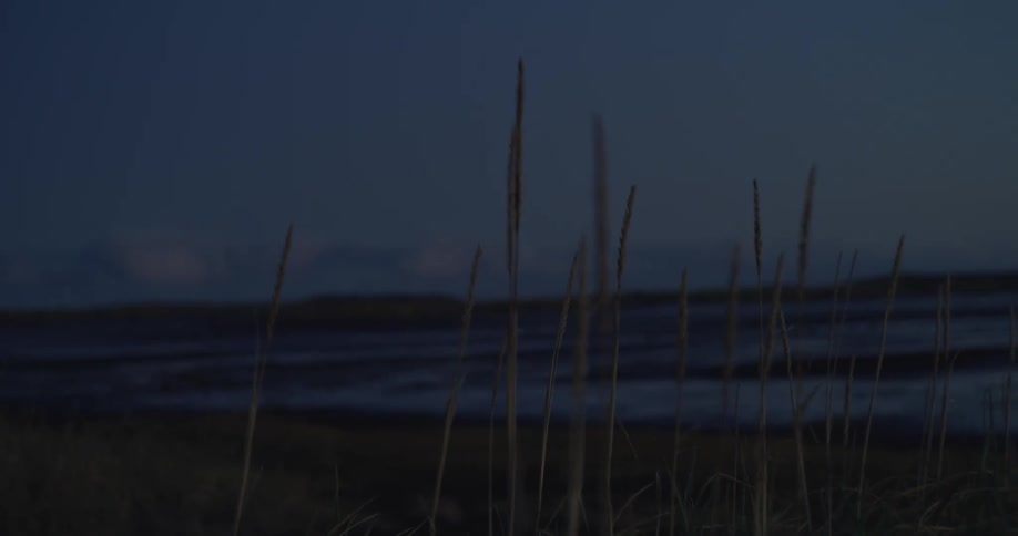 A moody shot of a dark beach at twilight with a slow focus pull from the ocean waves to the tall grass in the foreground