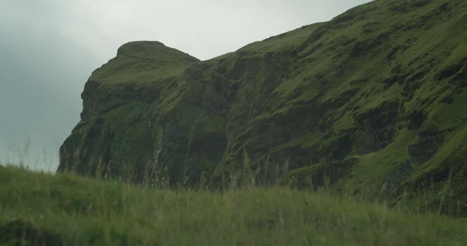 A slow focus reveal of a majestic green cliff behind a field of swaying grass