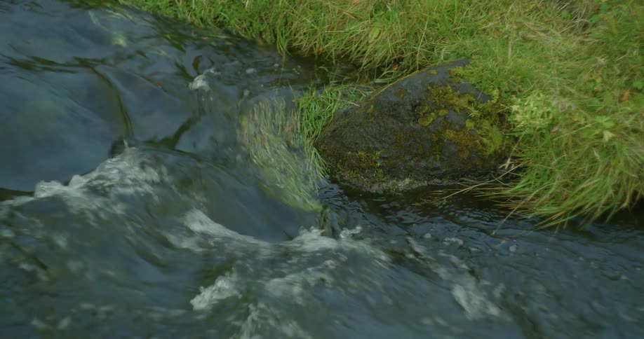A close-up view of a tranquil stream as water flows swiftly past a mossy rock on a green grassy bank