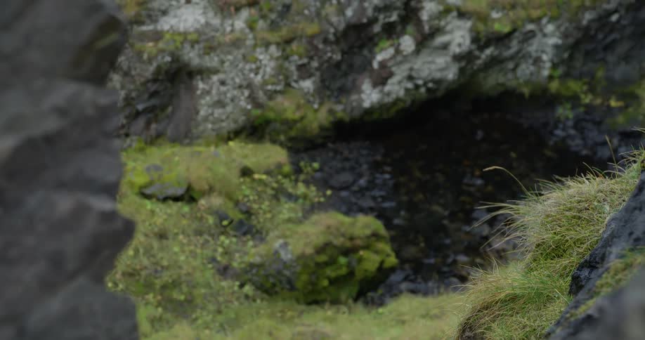 A slow pan reveals a hidden stream nestled in a rocky, moss-covered landscape