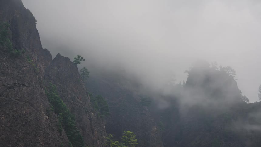 Thick clouds pour over the steep, tree-lined cliffs of a mountain in a moody timelapse