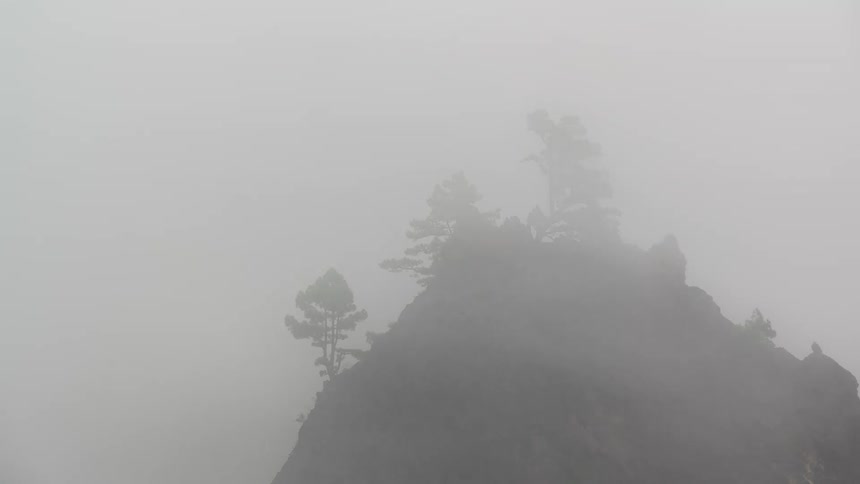 Mysterious fog drifts across a mountain summit, slowly revealing pine trees on the rocky peak