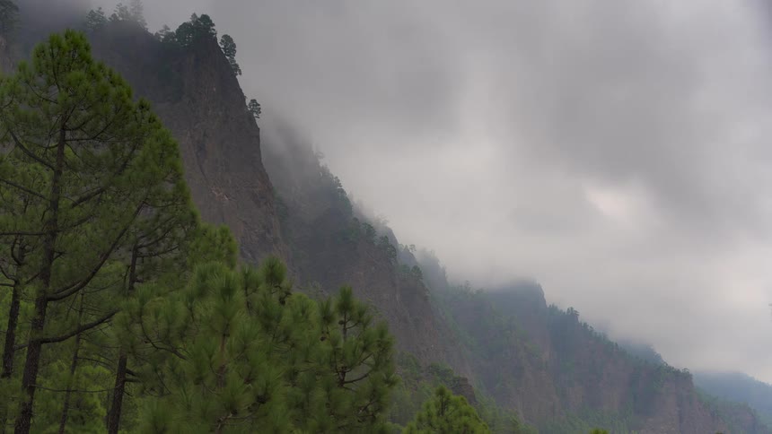 Misty clouds and fog roll across a steep, pine tree-covered mountain slope on an overcast day