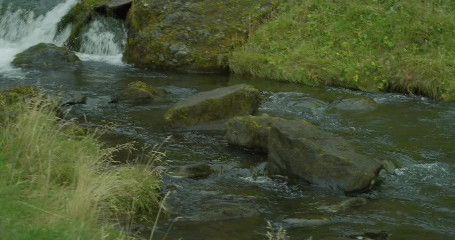 A picturesque waterfall cascades down a lush green canyon, flowing into a serene stream that meanders over mossy rocks in a beautiful Icelandic landscape