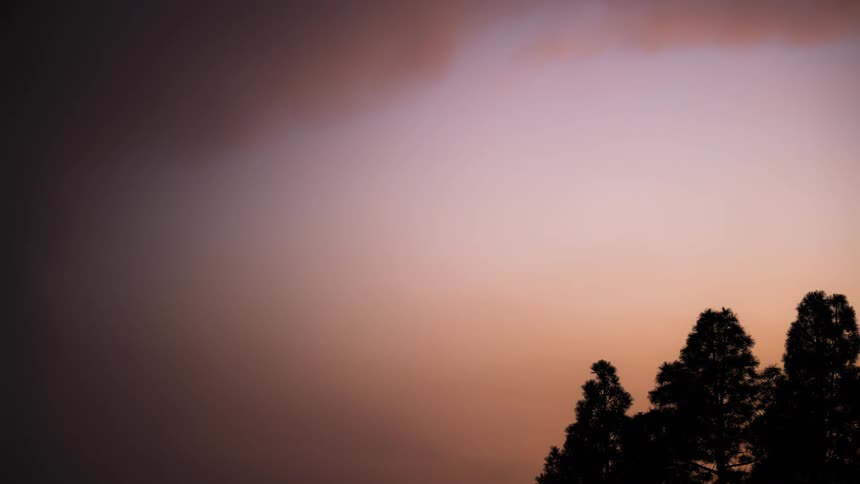 A beautiful time-lapse of a colorful sunset transitioning into a dark, starry night sky behind silhouetted treetops