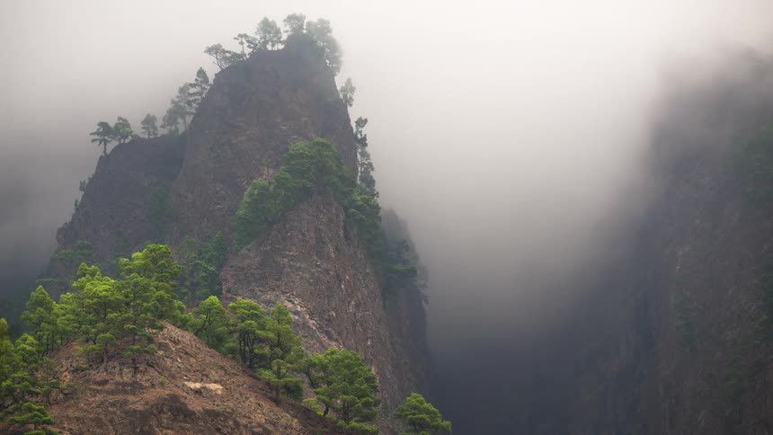 A timelapse of mysterious clouds and thick fog moving slowly through a rugged mountain canyon with pine trees