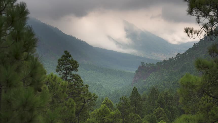 A time-lapse of moody clouds rolling through a vast green pine forest valley