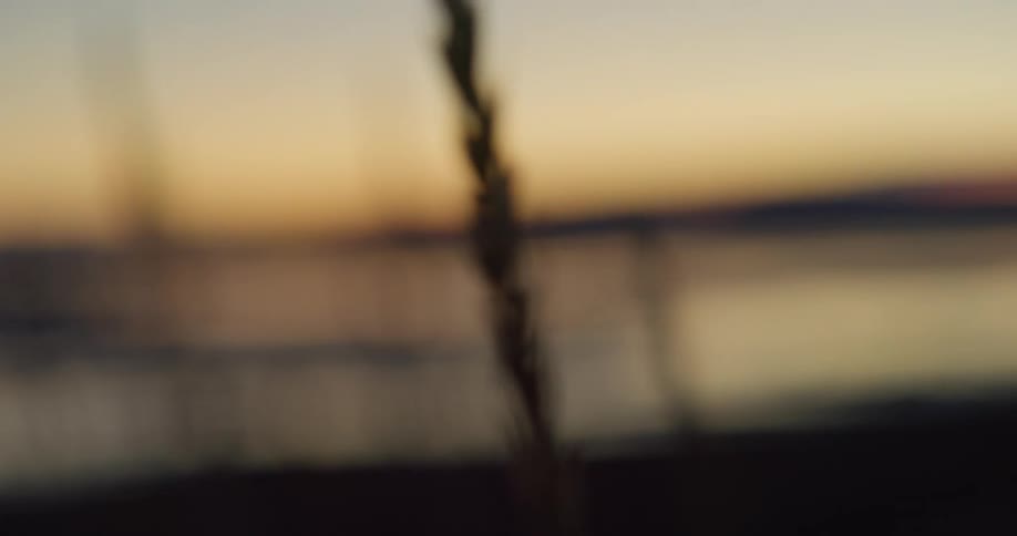 A single stalk of grass sways gently in a soft breeze during a beautiful sunset over a calm body of water