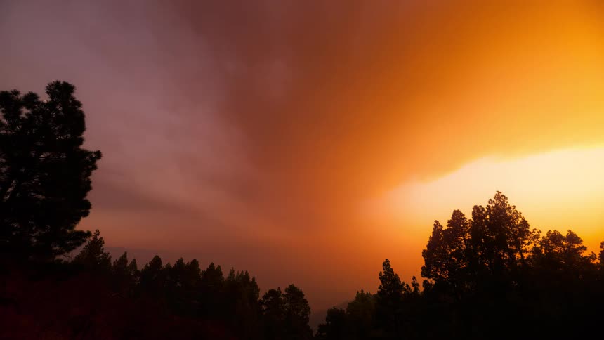 Dramatic timelapse of a vibrant orange sunset over a forest silhouette as dark, stormy clouds roll across the sky into night