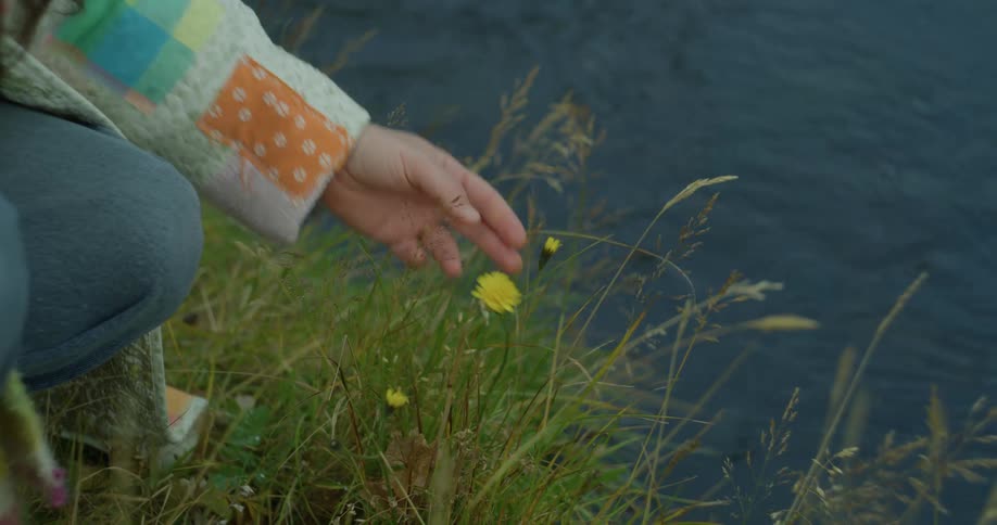 A person in a patchwork jacket gently touches a yellow wildflower swaying in the wind by a flowing river