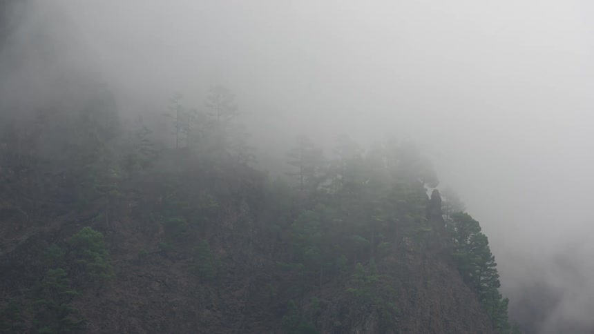 Mystical fog rolls across a steep, rocky mountain slope covered with green pine trees