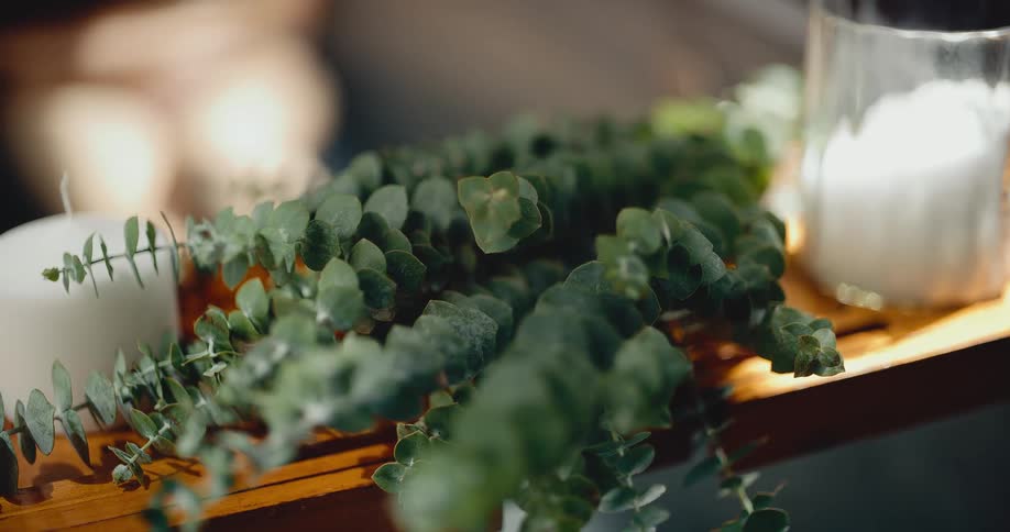 A tranquil scene of fresh eucalyptus leaves resting on a wooden tray next to candles being lit for a relaxing spa experience