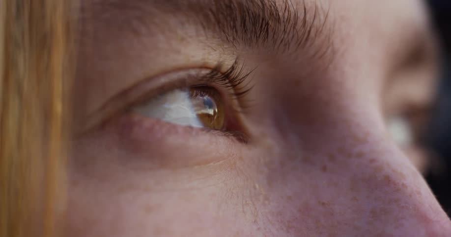A macro shot focuses on a single brown eye, reflecting the light as it gazes thoughtfully into the distance
