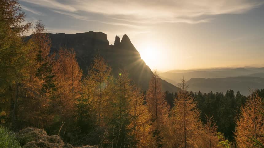 Golden autumn larches frame a stunning sunrise timelapse over the majestic Schlern mountain in the Dolomites