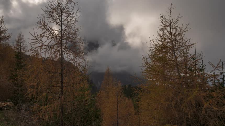 A timelapse of dramatic, stormy clouds swirling around a mountain peak, framed by golden autumn larch trees