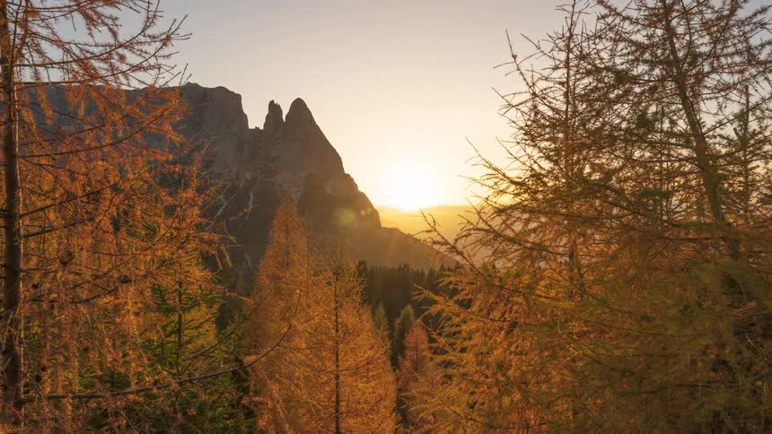 A stunning timelapse of the sun setting behind majestic mountain peaks, viewed through golden larch trees during a vibrant autumn evening