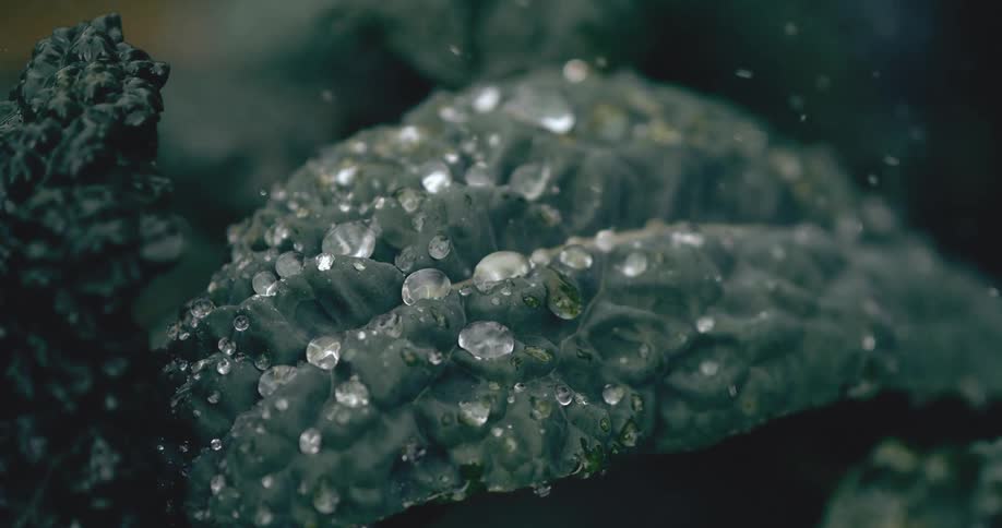 Slow-motion macro shot of refreshing water droplets falling onto a dark green kale leaf