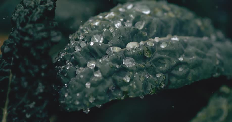 A macro close-up shot captures raindrops falling and collecting on a textured dark green kale leaf