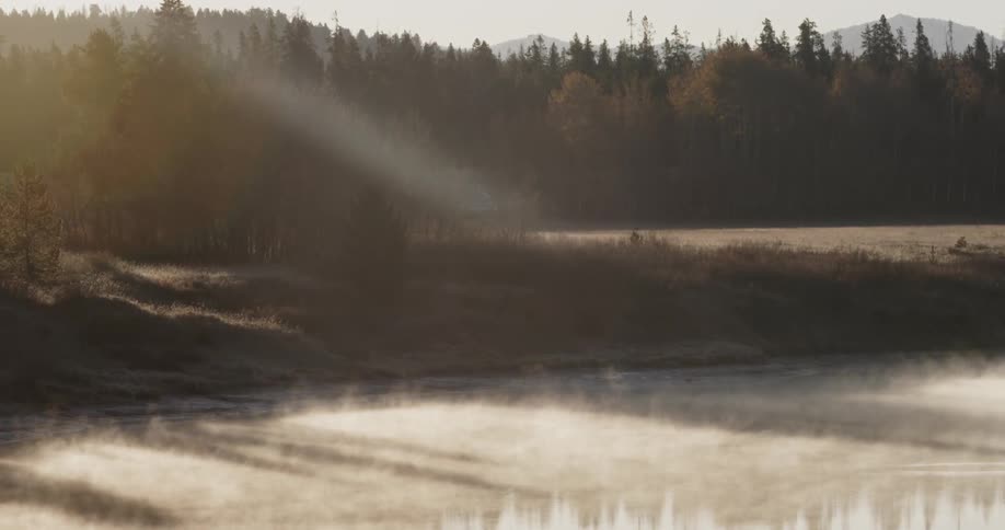 Steaming stream lined with trees on a sunny day