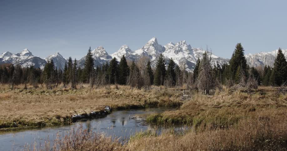 A river runs in front of pine trees and a snowy mountain