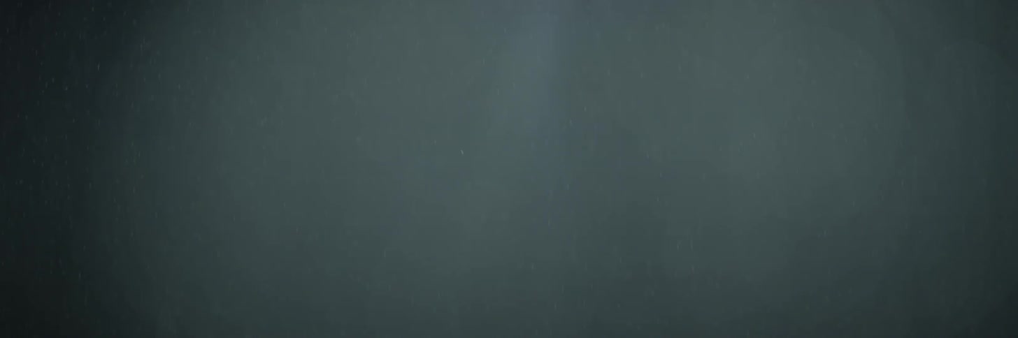 Rain falls through a misty area