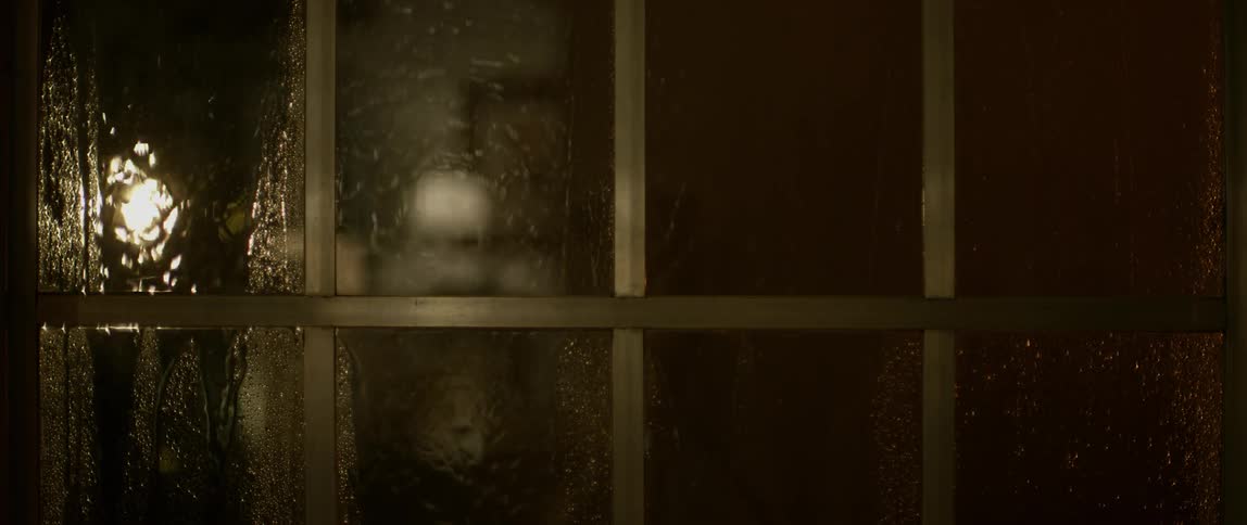 Rain runs down a window at night