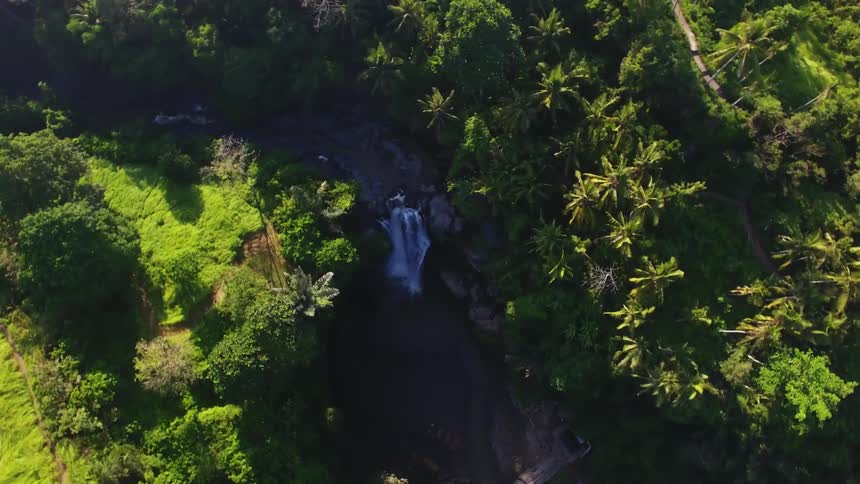Aerial view of a waterfall surrounded by trees