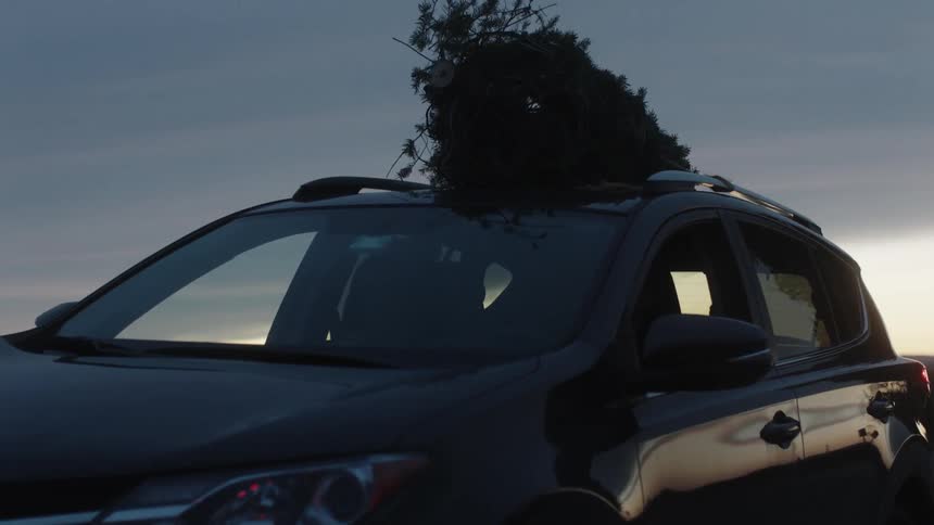 A car is driving at dawn with a tree on top