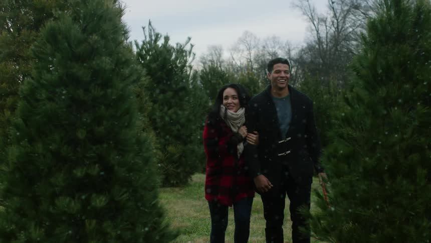 A couple walk in the snow in a tree farm