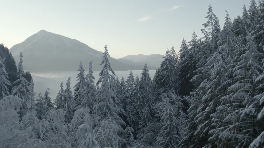 Flying through a snow covered winter wonderland toward a frozen lake