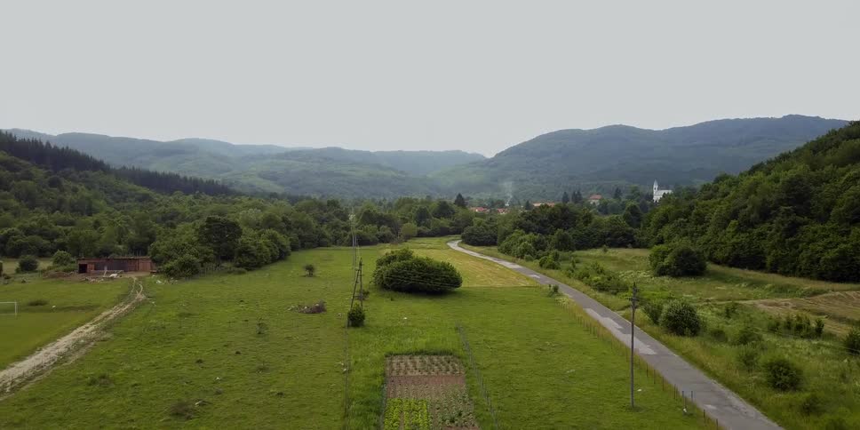 A view of a field with trees and a road